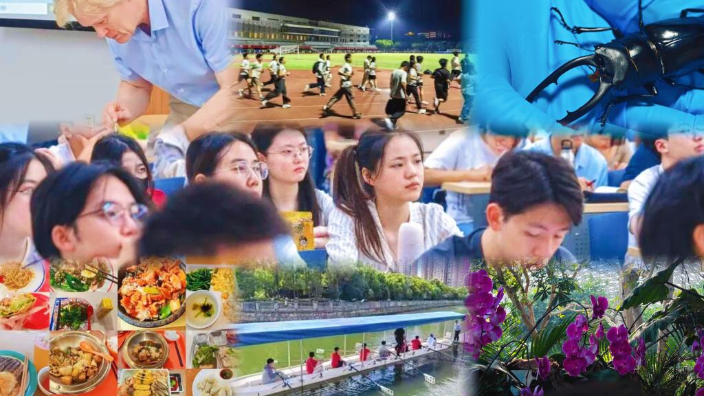 我的同济初体验，是这样的……