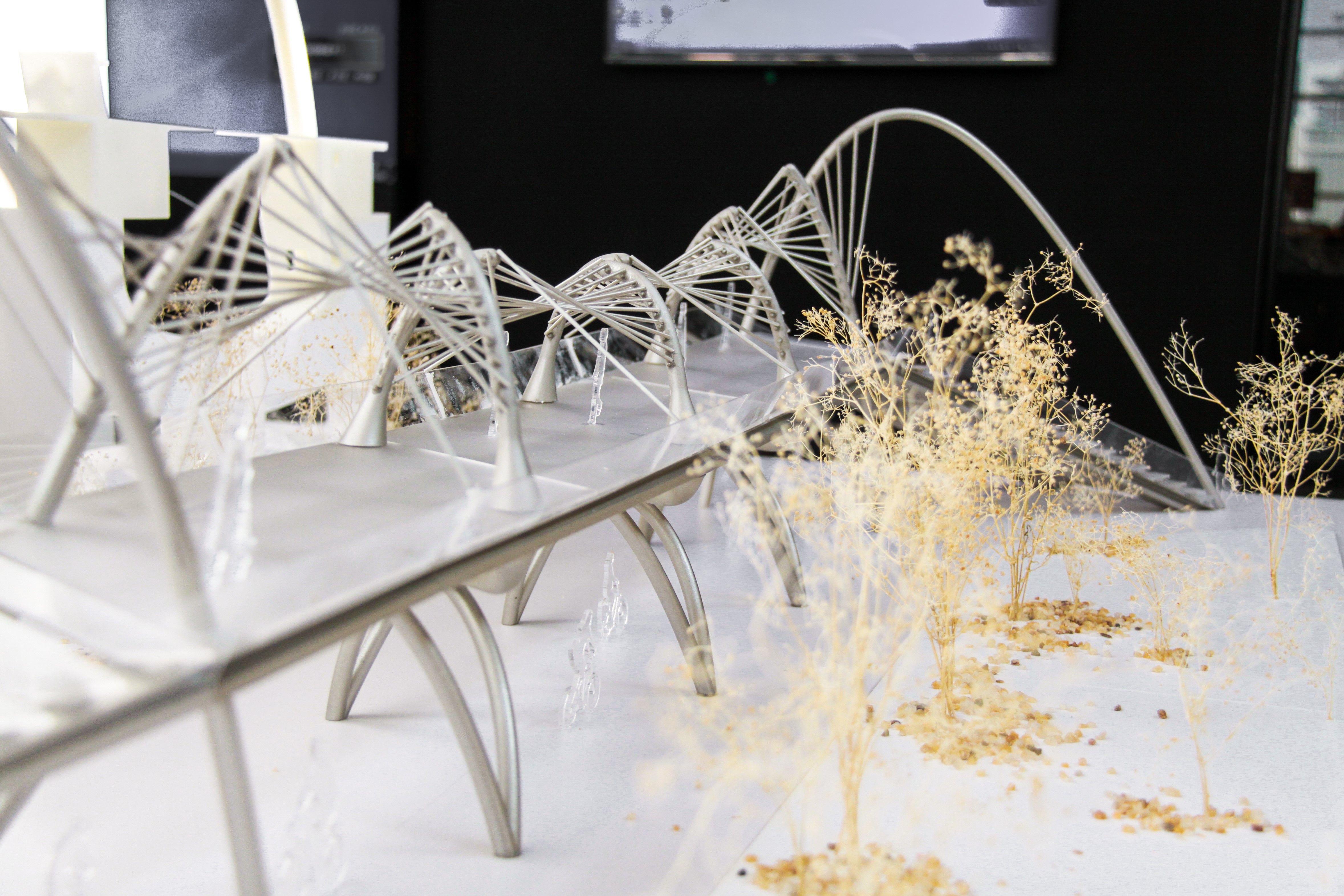 同济工业设计和桥梁专业学子携手推出人行桥设计与建构作品