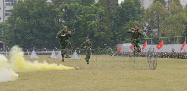 DSC_7441 DSC_7441