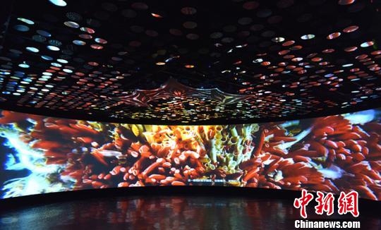 中国新闻网--深海馆
