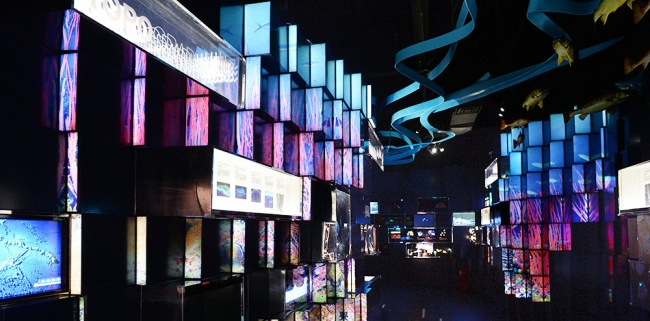 展馆内景 展馆内景