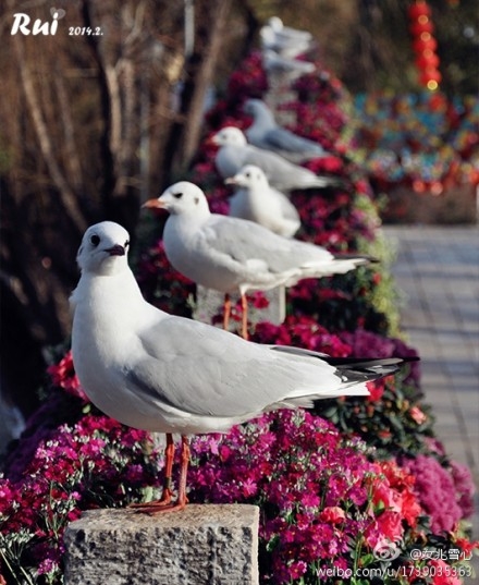 昆明1