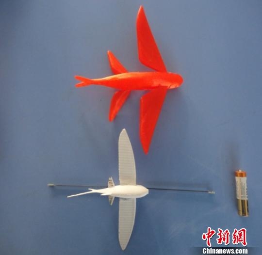 飞鱼模型 飞鱼模型