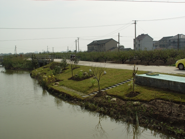 上海浦东果园村河道边坡人工湿地工程，2009年6月投入运行，水量为 8 m3d-1，电费 0