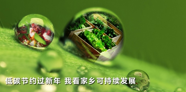 低碳过年-0313 低碳过年-0313