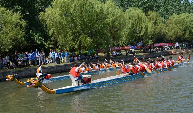 DSC_1146 DSC_1146