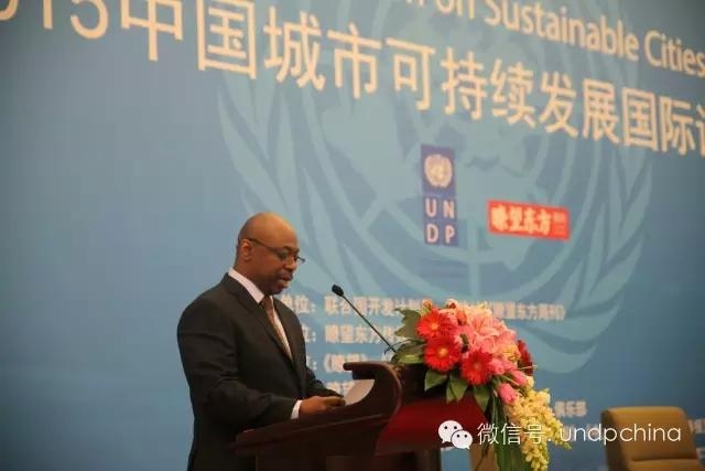 联合国开发计划署代表