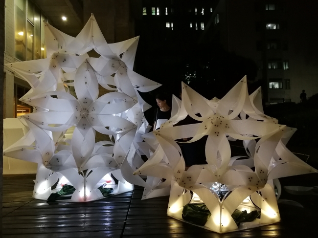 哈尔滨建筑大学:一蒂千花 哈尔滨建筑大学:一蒂千花