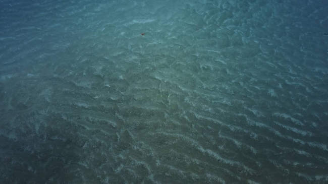 深海海底沙波
